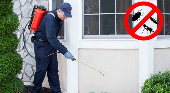Savur Hamam Böceği İlaçlama böcek ilaçlama ve haşere kontrolü — ilaclama-tr.com